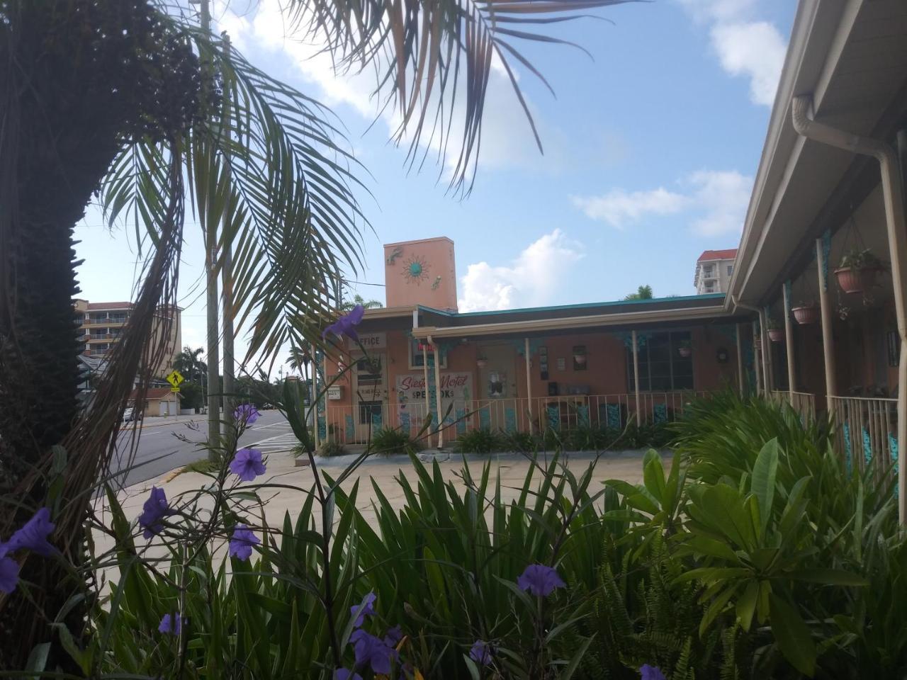 Michaels Siesta Motel เซนต์ปีเตอร์สเบิร์ก ภายนอก รูปภาพ